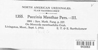 Puccinia menthae image